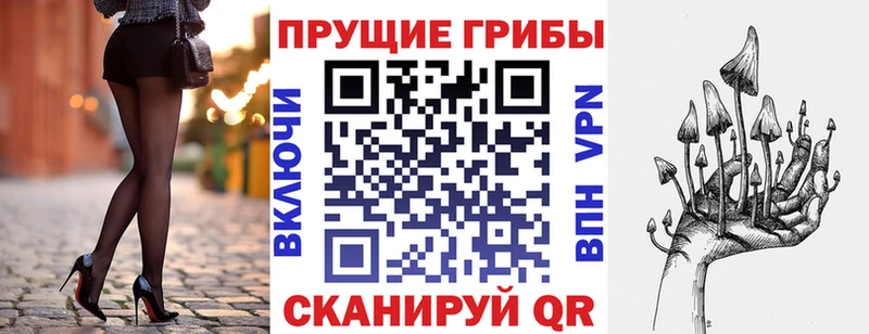 Псилоцибиновые грибы GOLDEN TEACHER  наркотики  Тюмень 