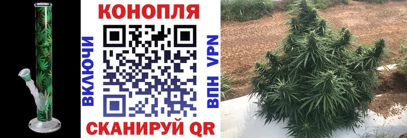 Конопля VHQ Тюмень